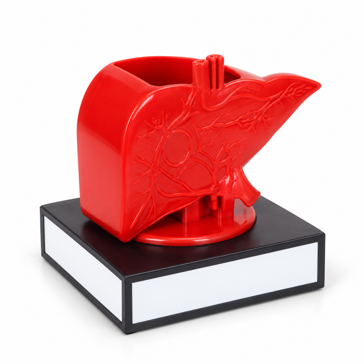 PH405 Liver Shape Revolving Pen Stand — PH405
