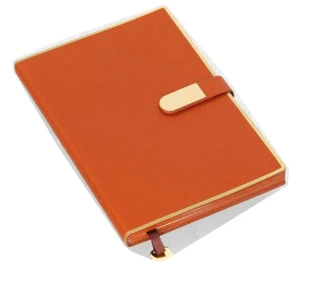 Corporate notebook Tan