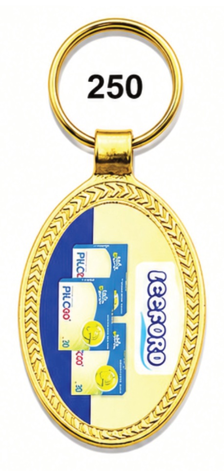 250 Oval Digital Printed Metal Keychain - Code 250