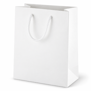 Medium Rope-Handle Paper Gift Bag - PB04 / PB07