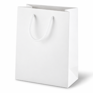 Large Rope-Handle Paper Gift Bag - PB05 / PB08