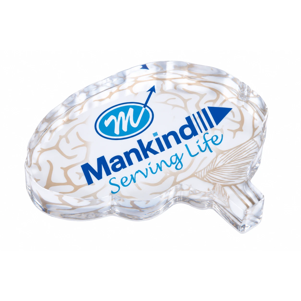 APW649 Brain Shape Acrylic Paperweight