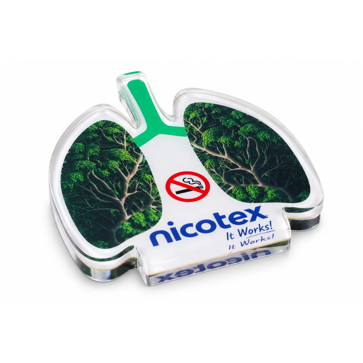 APW652 Lungs Shape Acrylic Paperweight